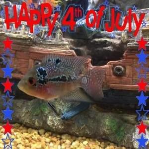 Meet your Posher, Tony